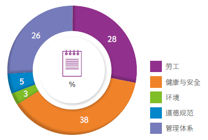 稽核缺失项目分布